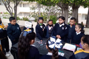 ciencias-il2-12