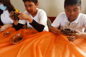 WhatsApp Image 2023-05-17 at 16.44.36