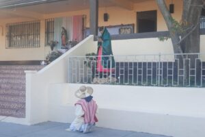 WhatsApp Image 2023-12-13 at 20.45.44