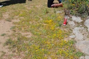 432098498_910681631065685_2907488477814717373_n 432098498_910681631065685_2907488477814717373_n