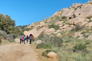 432103275_910681374399044_6660676350359189302_n 432103275_910681374399044_6660676350359189302_n