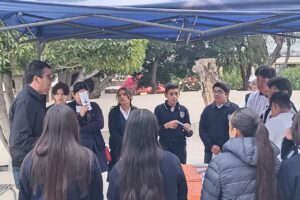 WhatsApp Image 2024-10-17 at 15.29.52