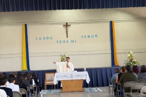 558329033_1356252346508609_7093900685980481241_n 558329033_1356252346508609_7093900685980481241_n