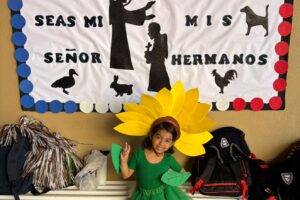 IMG-20251003-WA0033 IMG-20251003-WA0033