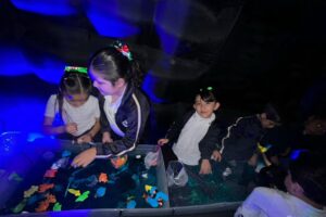 WhatsApp Image 2026-02-25 at 18.58.31 (2)